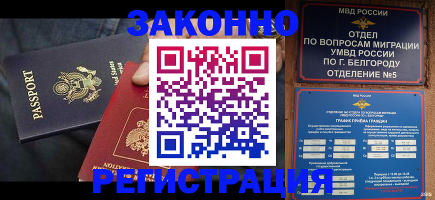 прописка законно в Черняховске